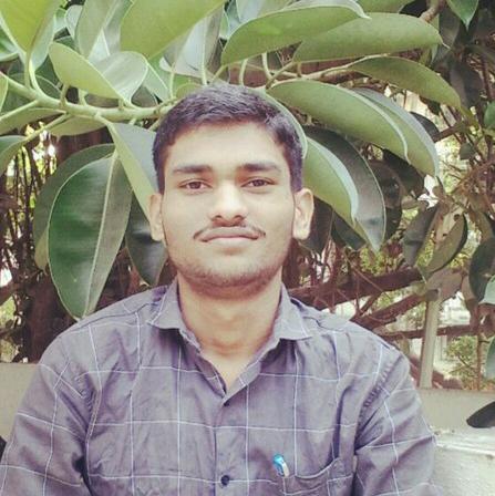 Traveller - Mahesh Shinde